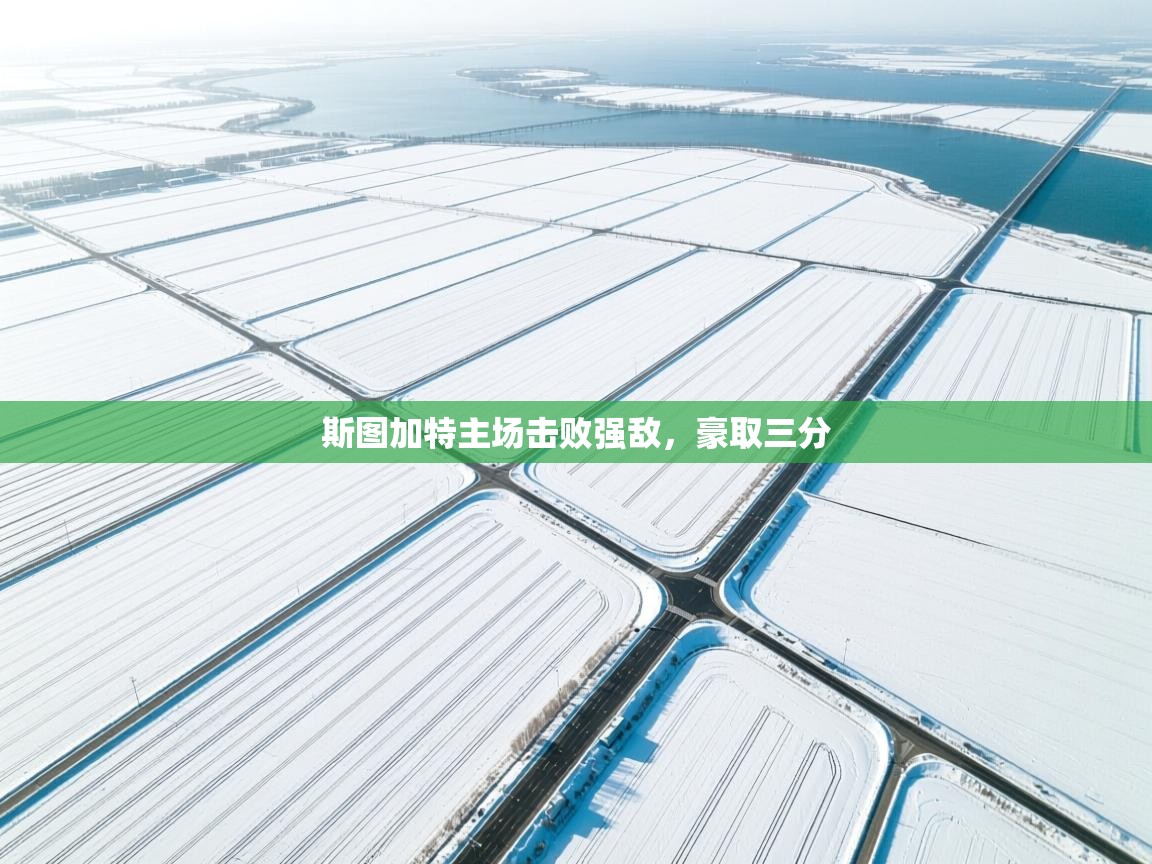 开云体育入口平台-斯图加特主场击败强敌，豪取三分