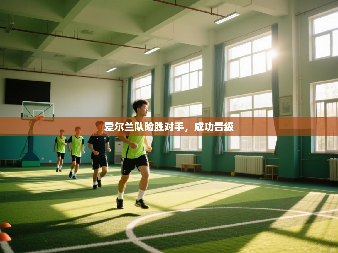 开云体育版本更新日志2025-爱尔兰队险胜对手，成功晋级  第1张