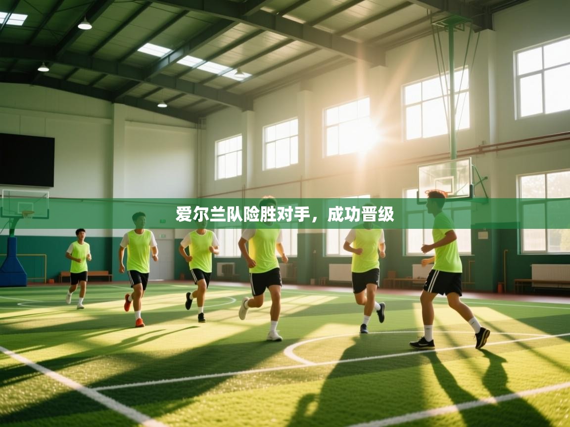 开云体育版本更新日志2025-爱尔兰队险胜对手，成功晋级  第2张