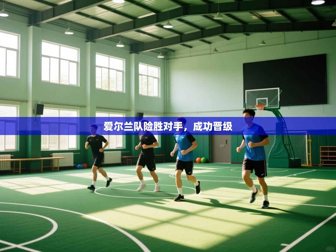 开云体育版本更新日志2025-爱尔兰队险胜对手，成功晋级  第3张