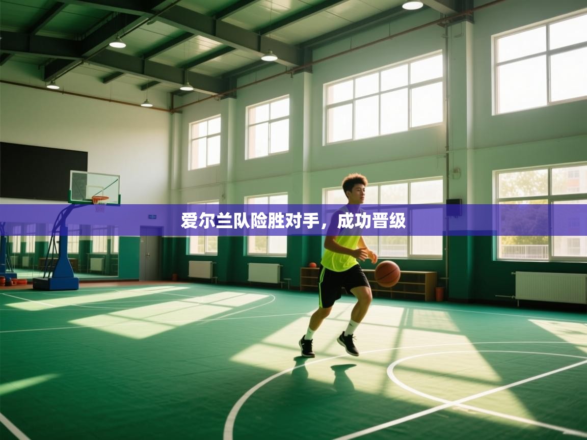 开云体育版本更新日志2025-爱尔兰队险胜对手，成功晋级  第4张