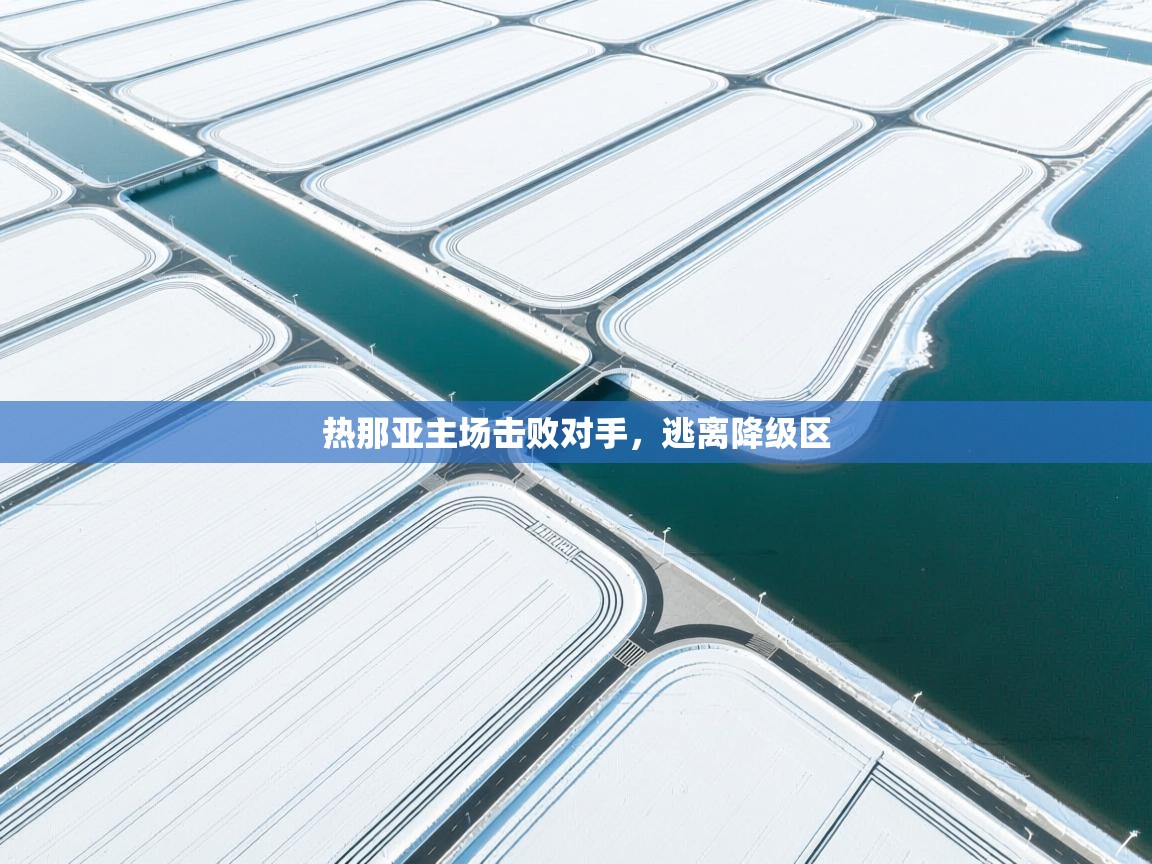 开云体育赛事比分直播-热那亚主场击败对手，逃离降级区  第2张