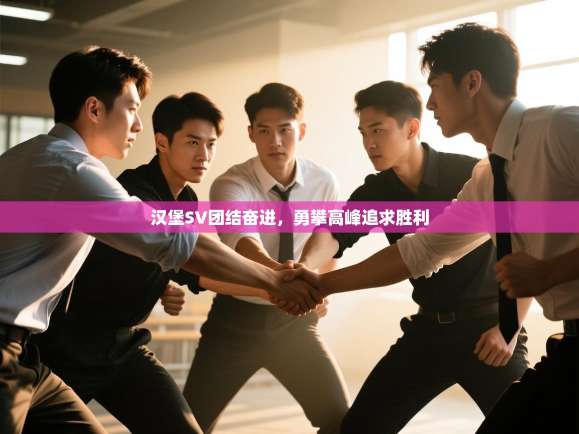 开云体育数据中心统计-汉堡SV团结奋进，勇攀高峰追求胜利  第1张