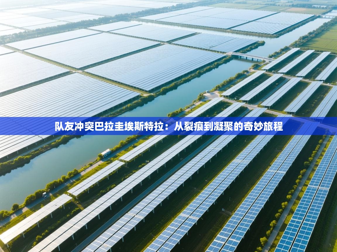 -队友冲突巴拉圭埃斯特拉：从裂痕到凝聚的奇妙旅程  第1张