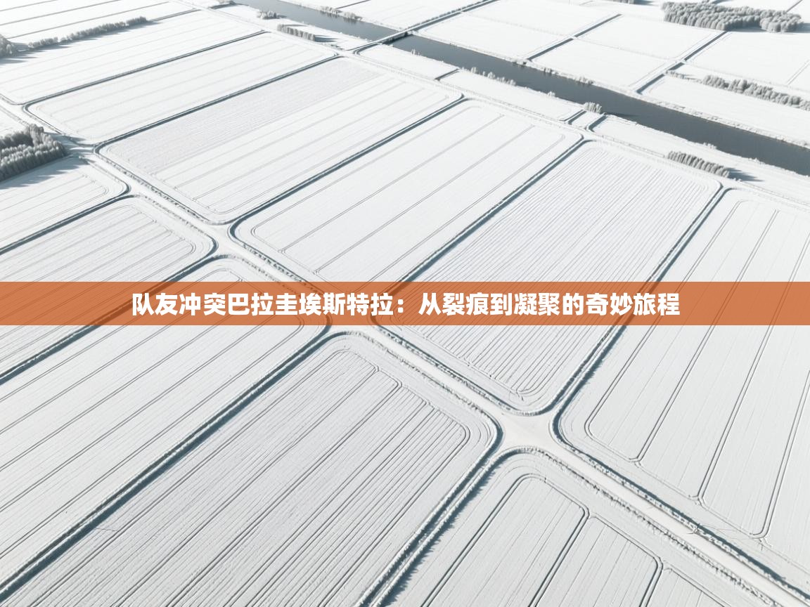 -队友冲突巴拉圭埃斯特拉：从裂痕到凝聚的奇妙旅程  第2张